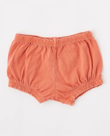 Culotte algodón orgánico